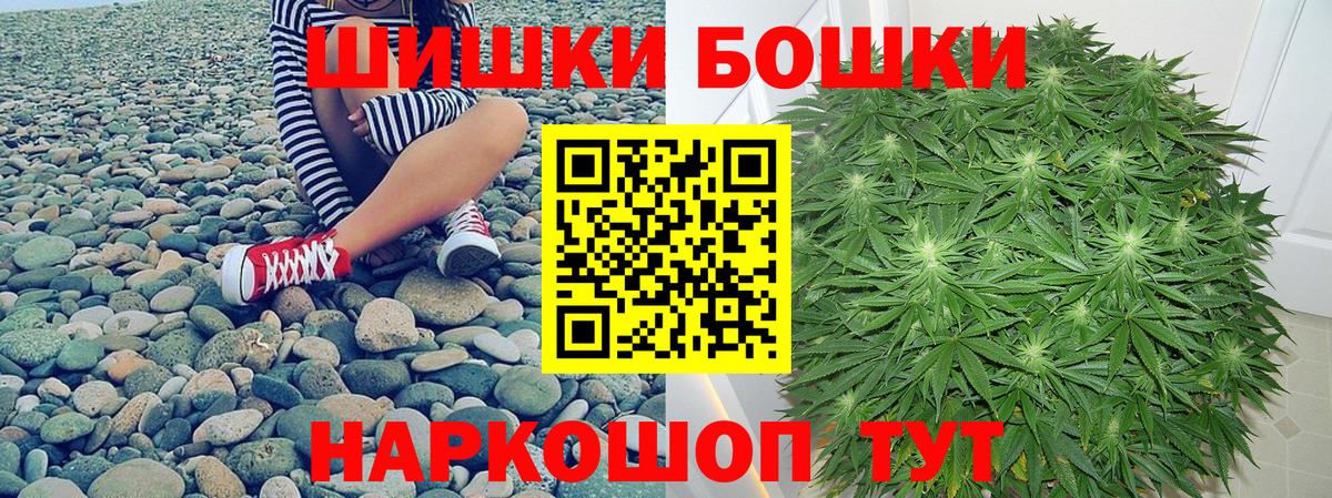 Конопля сатива Карпинск